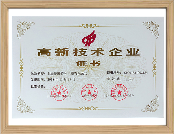 上海市高新技術企業證書